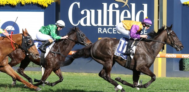 Star Kiwi’s odds crunched in the Sandown Stakes