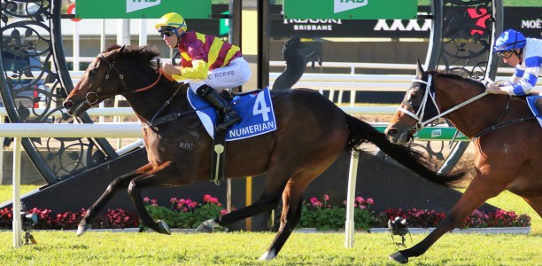 Class horse of the field heads odds in the Ipswich Cup