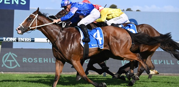 Waller’s Bold bid for successive McKell Cups