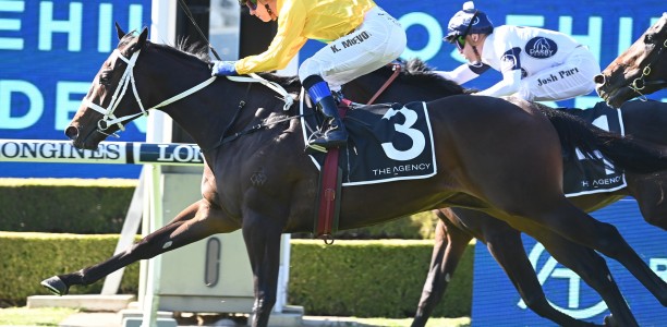 Chris Waller continues heady juvenile season