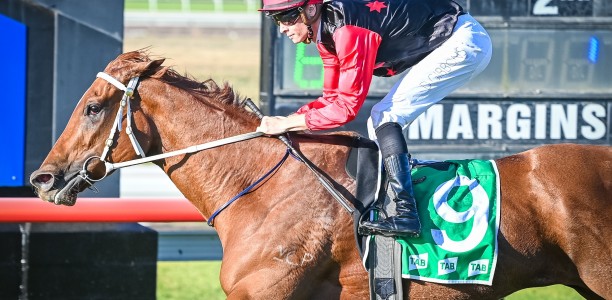 Opal Ridge proving a rare gem for Luke Pepper