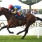 Frankie Dettori gives punters something to cheer about on Day 2 of Royal Ascot Carnival