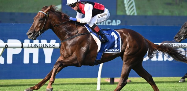 Caloundra’s big day hosts multiple black type races