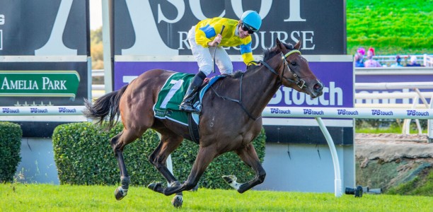 Karrakatta Plate performers start spring climb