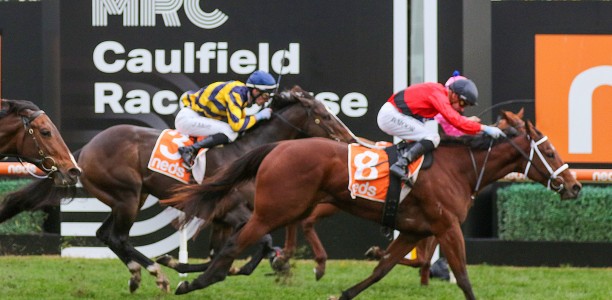 Mileva aims for repeat Monash Stakes win