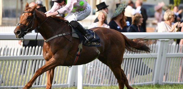 Royal Ascot winner heads early odds in the Melbourne Cup