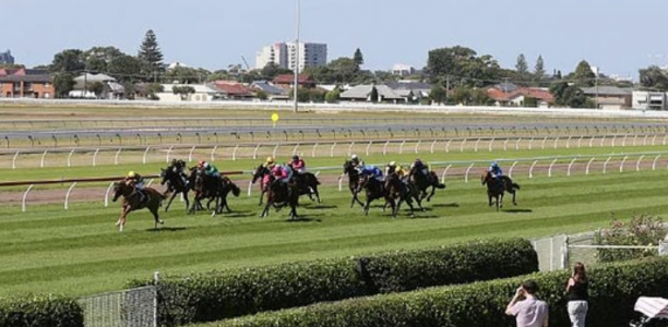 Racing NSW announce game-changing $6.5m Super Maidens