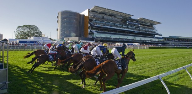 Randwick racing for Good Charity day