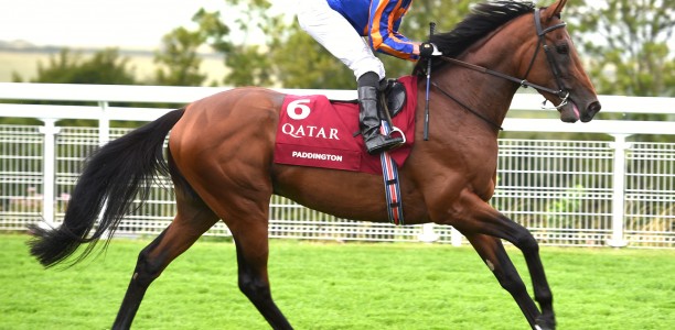 Paddington takes out the Sussex Stakes