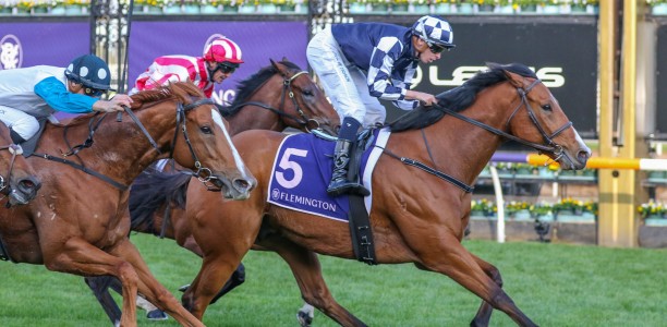 It’sourtime to shine at Flemington