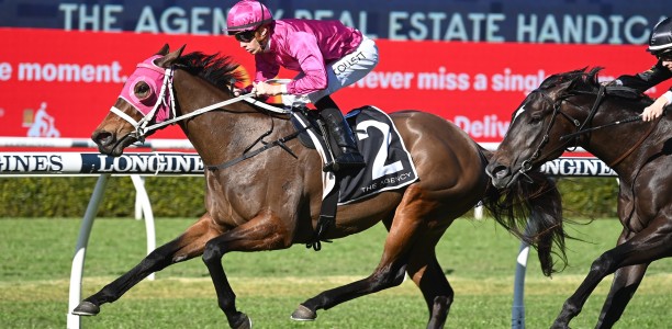 Cigar smoking ahead of Rosebud bid