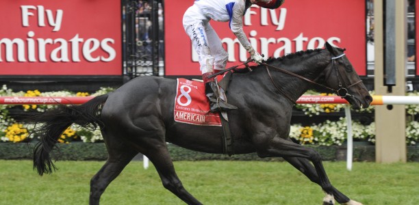 Champion jockey could sign off in the Melbourne Cup