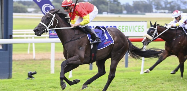 Princess Grace likely Waller’s Memsie Stakes runner