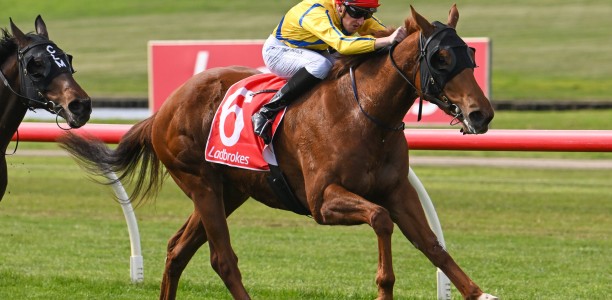 La Danseuse Rouge up for Flemington dash