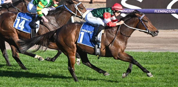 A Jewel at Flemington