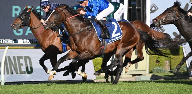 It smells like a great edition of the Golden Rose Stakes