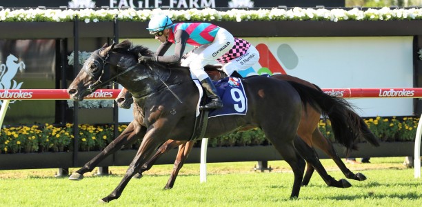 Blake Shinn to replace Jimmy Orman on Antino