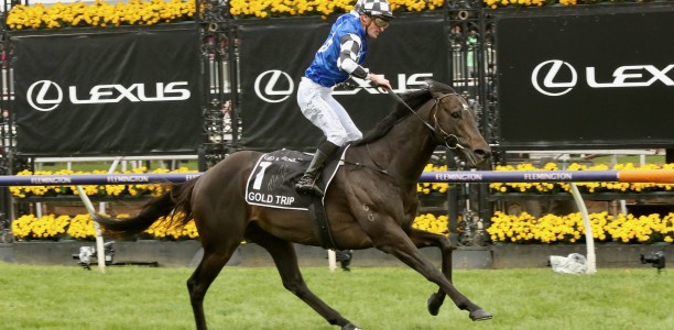 Gold Trip heads Melbourne Cup weights