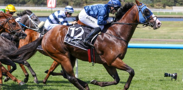 Lofty Strike’s sister wins on debut