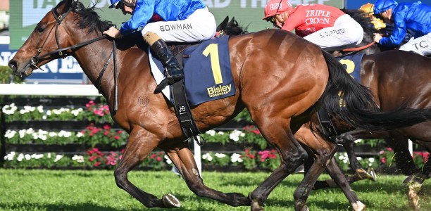 All not Lost for O’Shea’s Everest dream