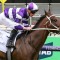 Riff Rocket thriving ahead of Caulfield Classic