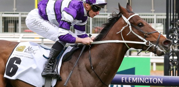 Riff Rocket thriving ahead of Caulfield Classic