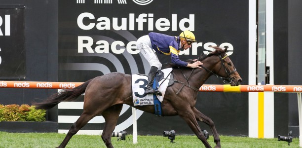 Thousand Guineas beckons for Coeur Volante