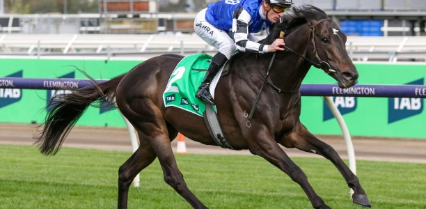 Two Cox Plate hopes for leading yard