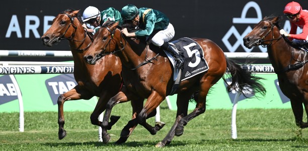 Star mare Espiona heads odds in The Invitation