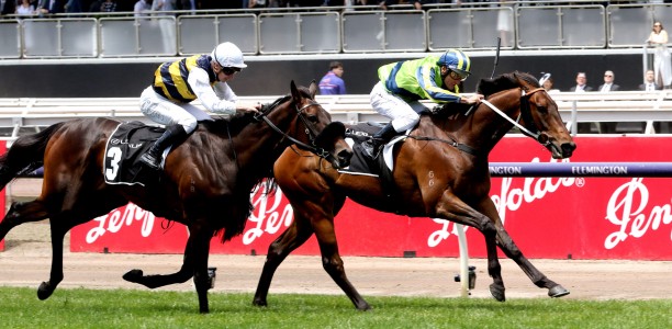 Kalapour races into the Melbourne Cup Field