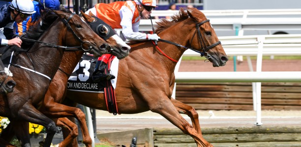 Punters heavily back Melbourne Cup winner at a price