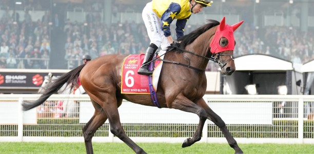 International stayer West Wind Blows heads odds in the Champions Stakes