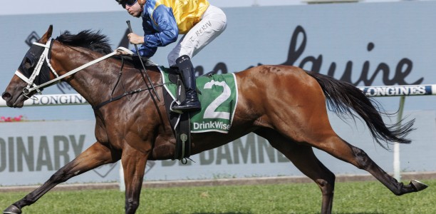 Top jockey Tom Berry back in Perth for Railway Stakes