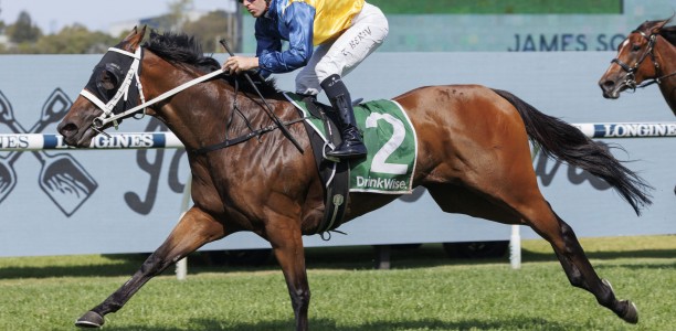 Sydney raider heads odds in the Railway Stakes