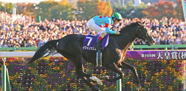 Equinox, the Japan Cup World Champion