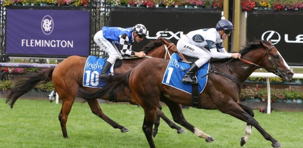 Overpass heads odds in the Winterbottom Stakes