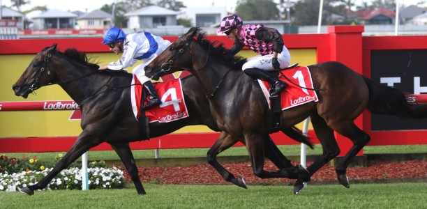 Zoustyle zips away with George Moore Stakes