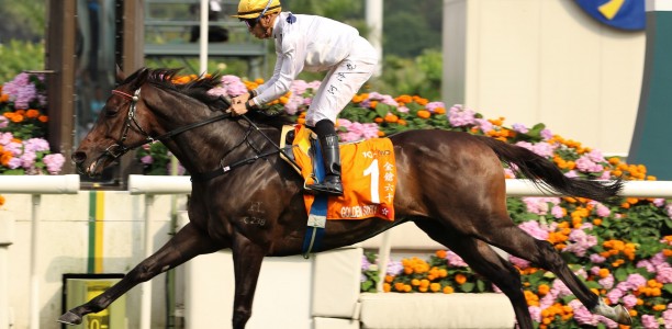 Golden Sixty odds crunched to win the Hong Kong Mile