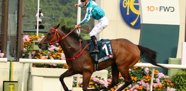 Cox Plate winner Romantic Warrior short odds in the Hong Kong Cup