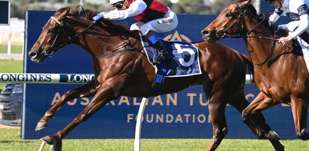 Grebeni poised to rebound at Randwick