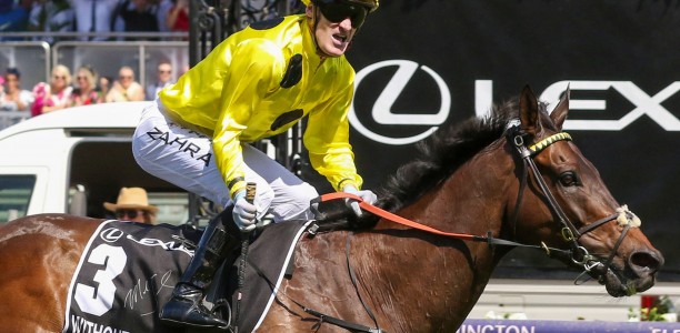 Melbourne Cup, Caulfield Cup champion sidelined with injury