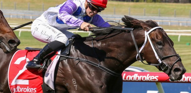 Consistent Savannah Cloud returns at Flemington