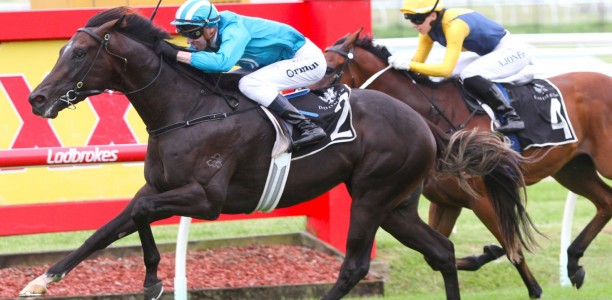 Fukubana to blossom in Hobartville Stakes