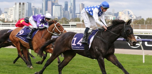 Coffey’s success continues in Launceston Cup