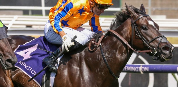 Champion Kiwi mare Imperatriz short odds in the Newmarket Handicap