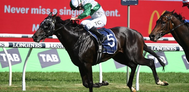 Tulloch Lodge Vampires adds bite to Randwick Guineas