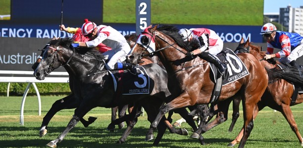 Bridge produces Randwick Guineas special to join elite company