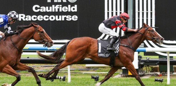 Pakenham Cup Likely Field & Horses – 2024