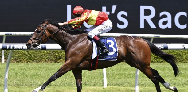 Attractable receives wildcard slot in All Star Mile field