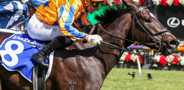 William Reid Stakes Likely Field & Horses – 2024